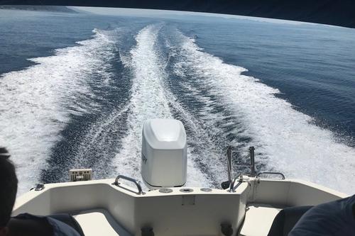Up to 5 persons can enjoy a ride on this Walkaround boat