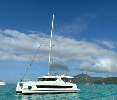Catamaran boat for rent in Parham Town