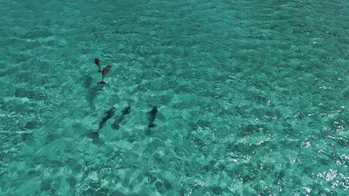 Boat rental in Nassau, 
