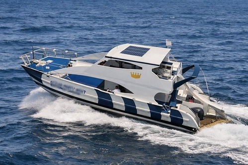 Private 6 Hour Catamaran Snorkel and BBQ