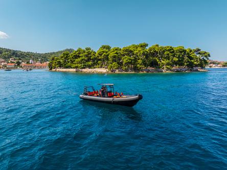 Up to 11 persons can enjoy a ride on this Motor boat boat