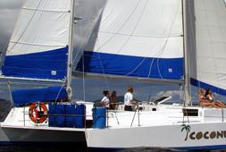 This 50.0' Newick cand take up to 44 passengers around St. Thomas