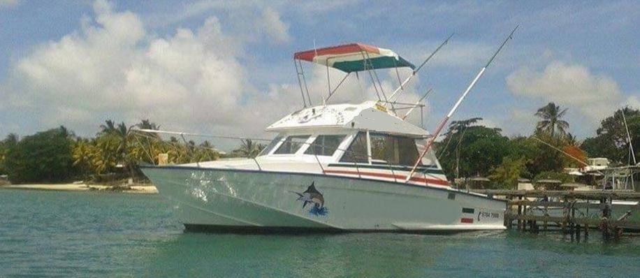 This 35.0' Custom cand take up to 15 passengers around St. Georges