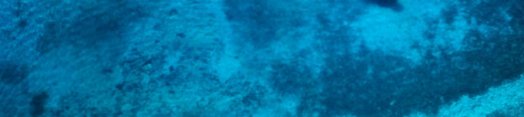 Sailing in Bimini, Bahamas on a Boat Rental